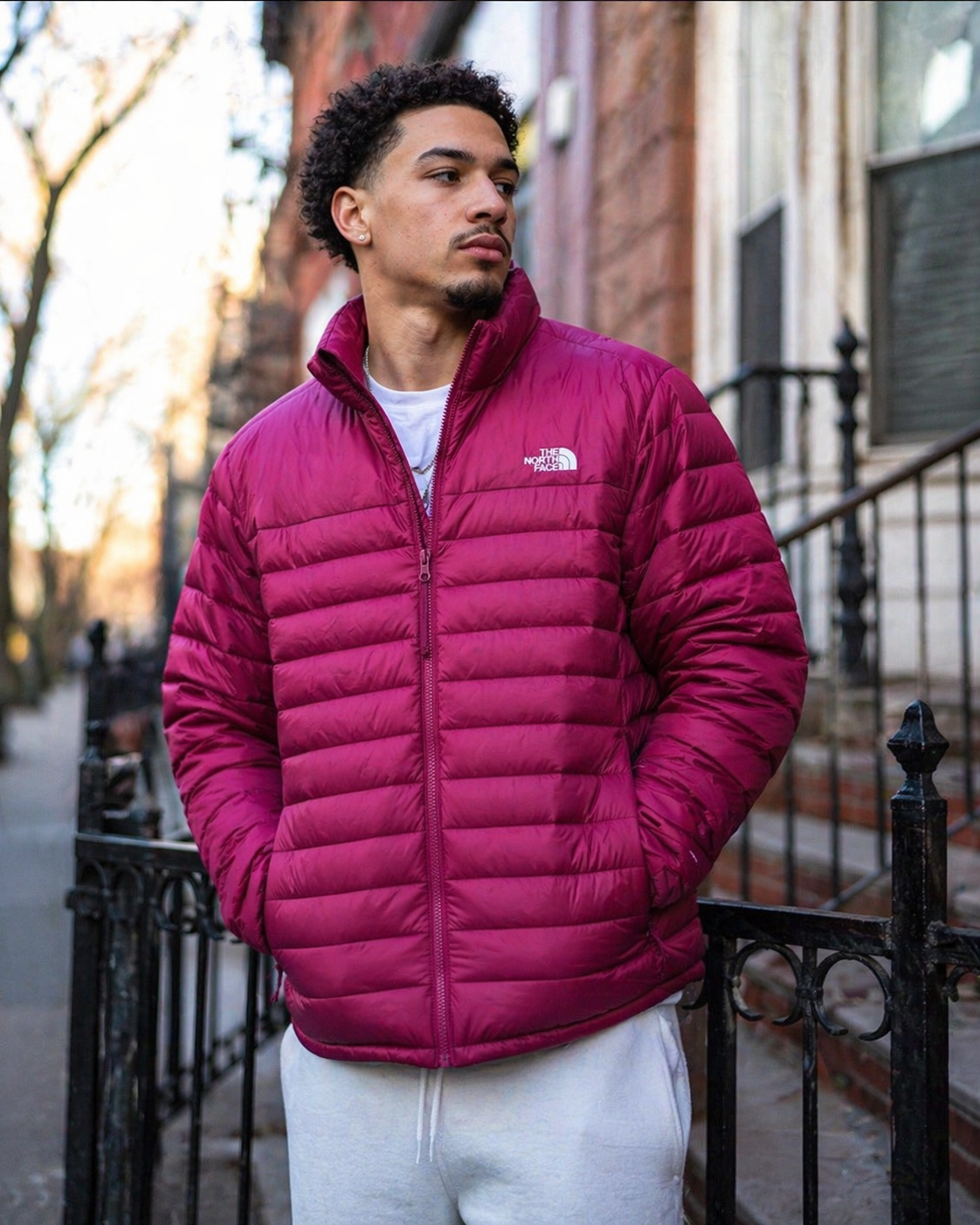 THE NORTH FACE MINOQUA DOWN JACKET